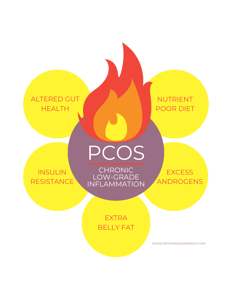 Inflammation   Root Causes of PCOS   Part 20   Dr. Tamara Darragh, ND