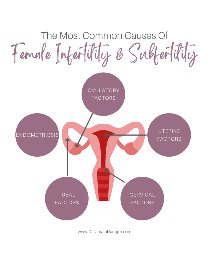 Female Infertility: Causes, Treatments and Nutrients - Life Extension